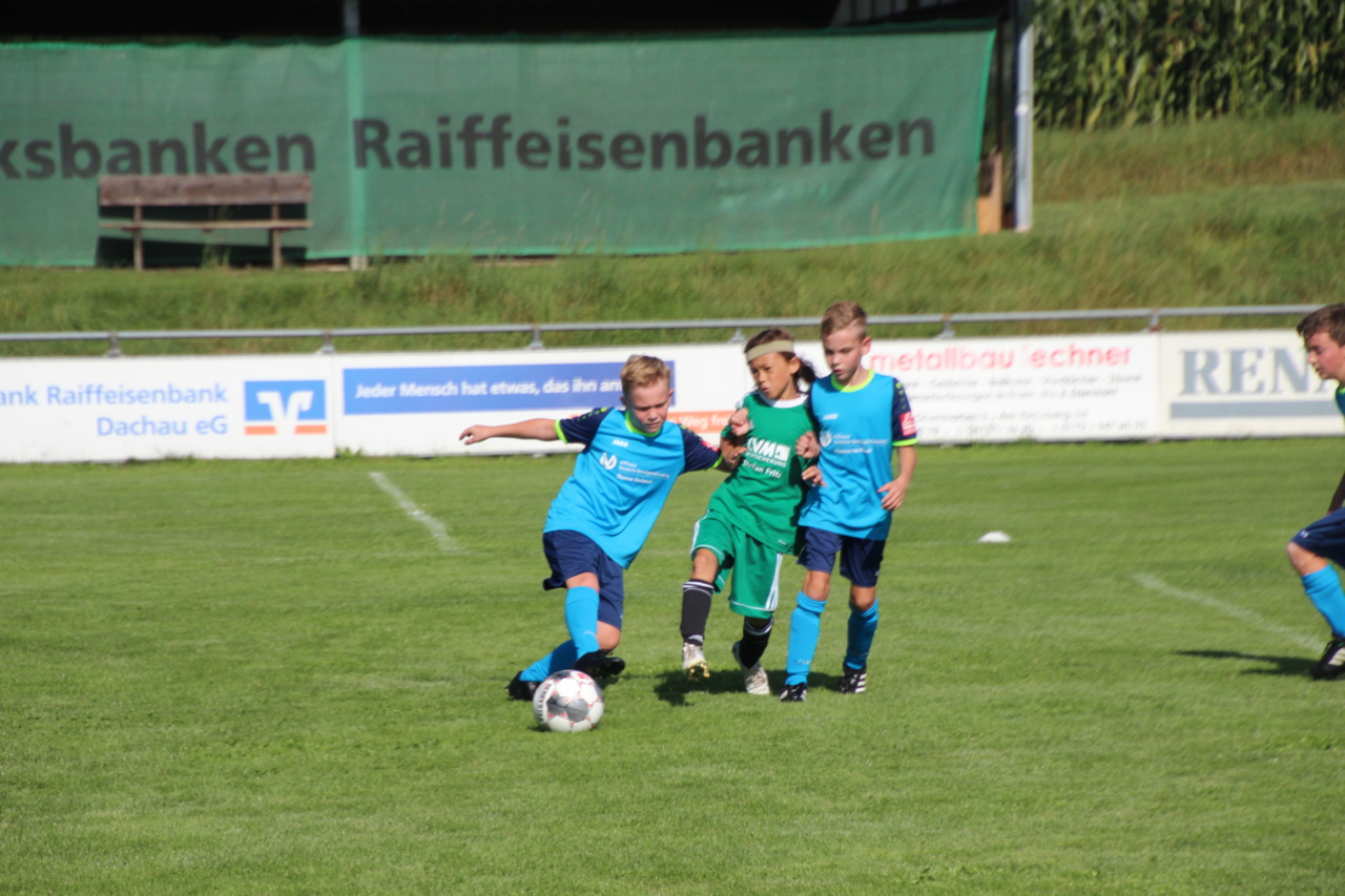 082210_f999b19d35a14ad4afcaf822e001ad31~mv2.jpg