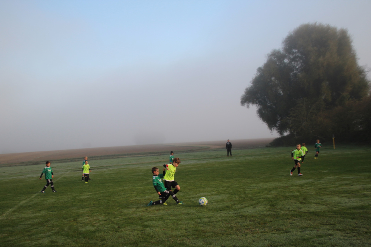 082210_63cd362ef57443538acd76e56cb1a87b~mv2_d_5184_3456_s_4_2.jpg