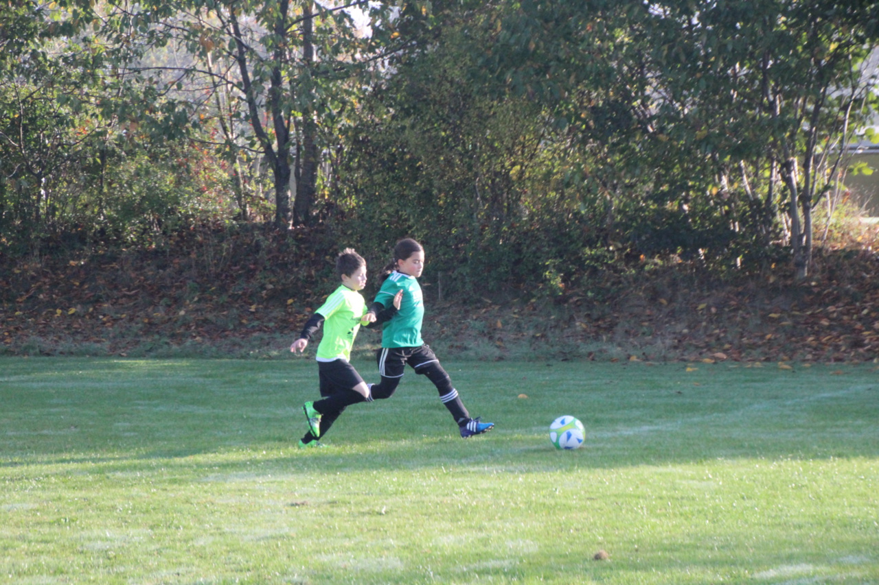 082210_dd57e7fb231641c682dfaff89a8b29de~mv2_d_5184_3456_s_4_2.jpg