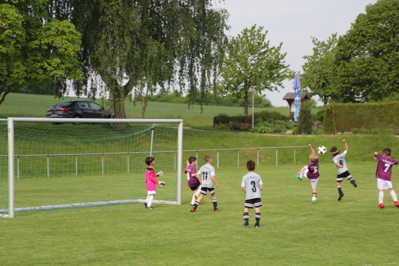 082210_b13f79df4d94435d8218d90ff63d5a2a~mv2_d_5184_3456_s_4_2.jpg