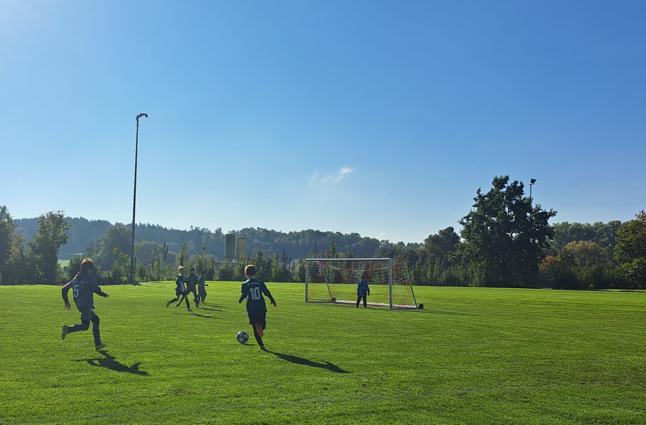 WhatsApp Image 2025-10-04 at 15.41.30 (8)