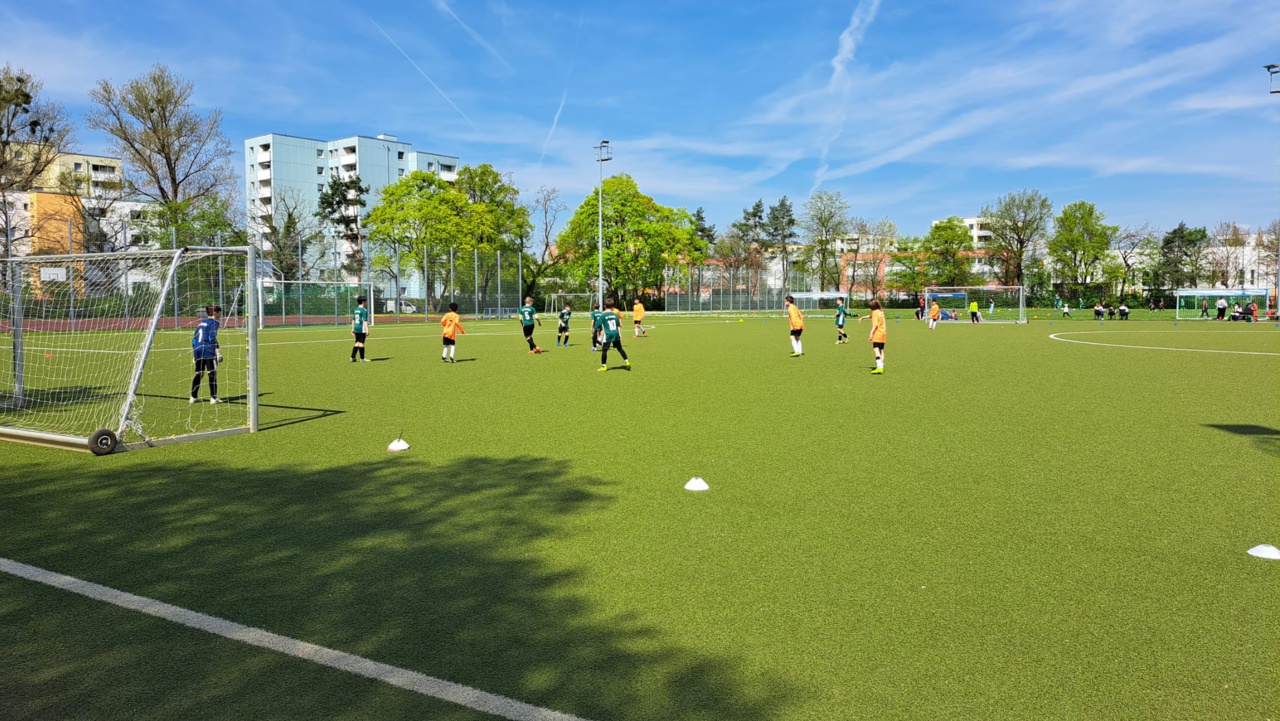 WhatsApp Image 2026-04-20 at 15.33.53 (1)