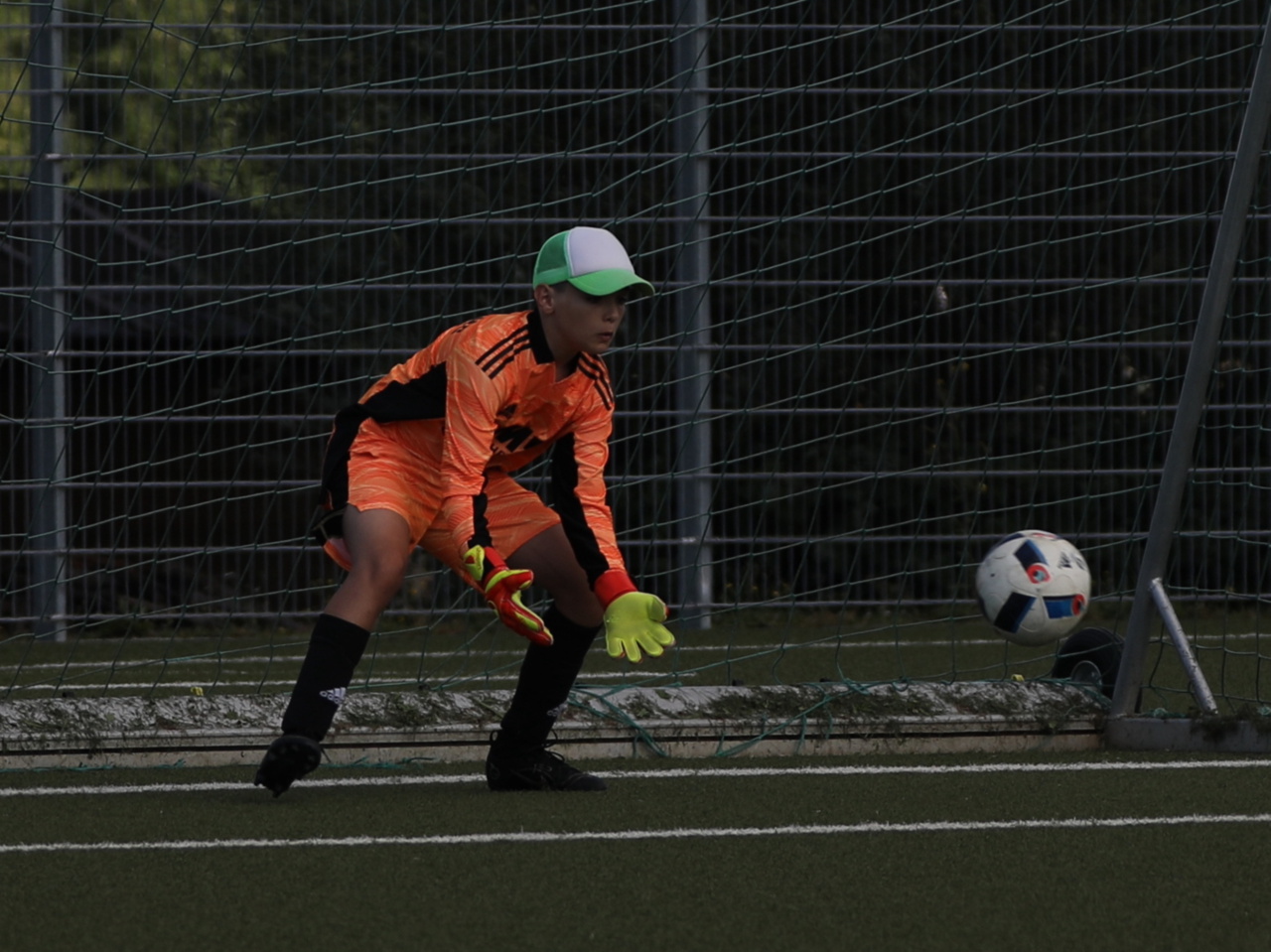 082210_0572694b855a4526ae7f406bc1dce55c~mv2.jpg