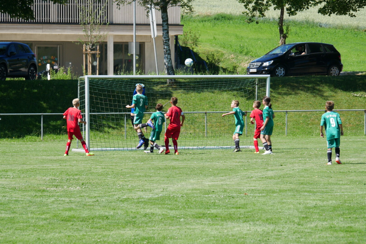 164b4b_50761e5667b7433399780845caa3b959~mv2.jpg