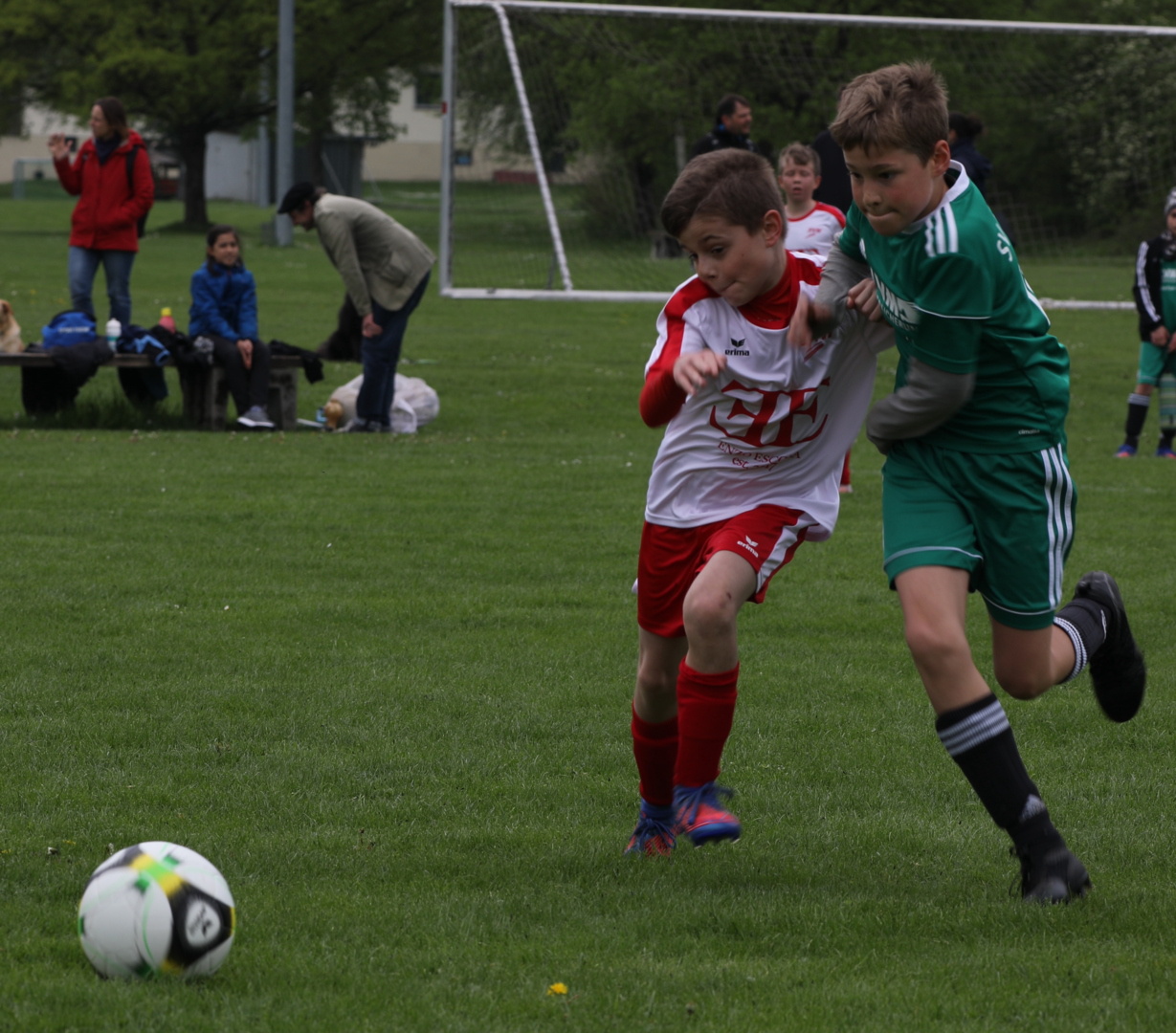 082210_12c2632a2d964109885777dd0fa03a63~mv2.jpg