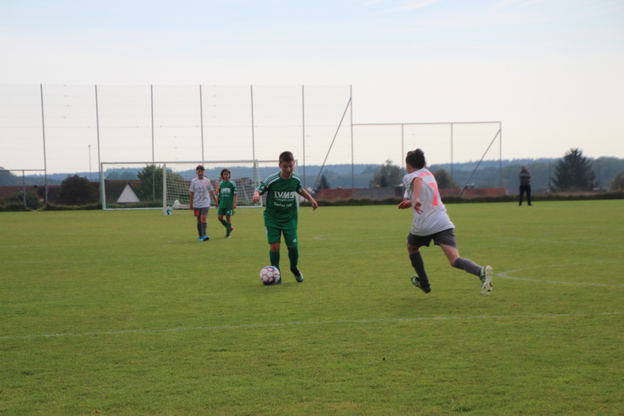 082210_eee3ba507fc448dbbc2e6e6acc2cfa54~mv2.jpg