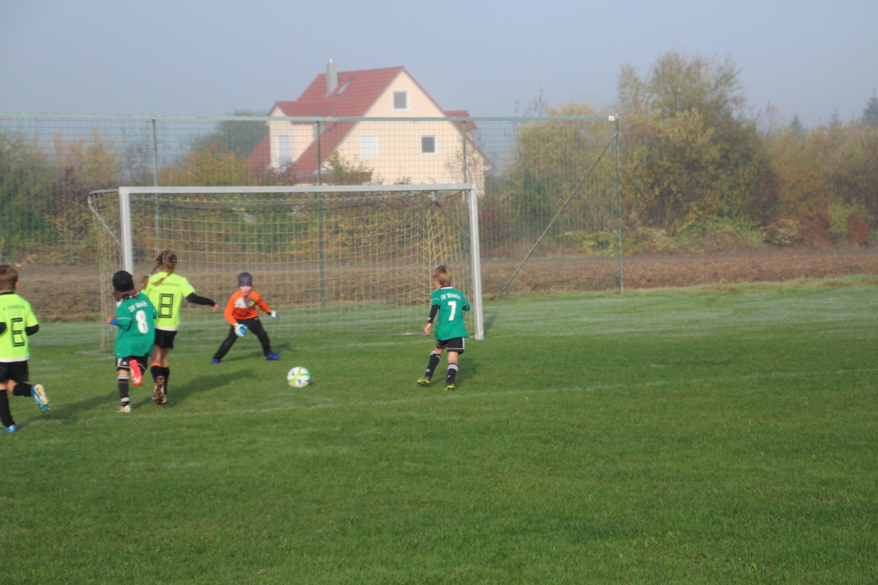 082210_975f32811f234ff29a179f4b9bccb779~mv2_d_5184_3456_s_4_2.jpg