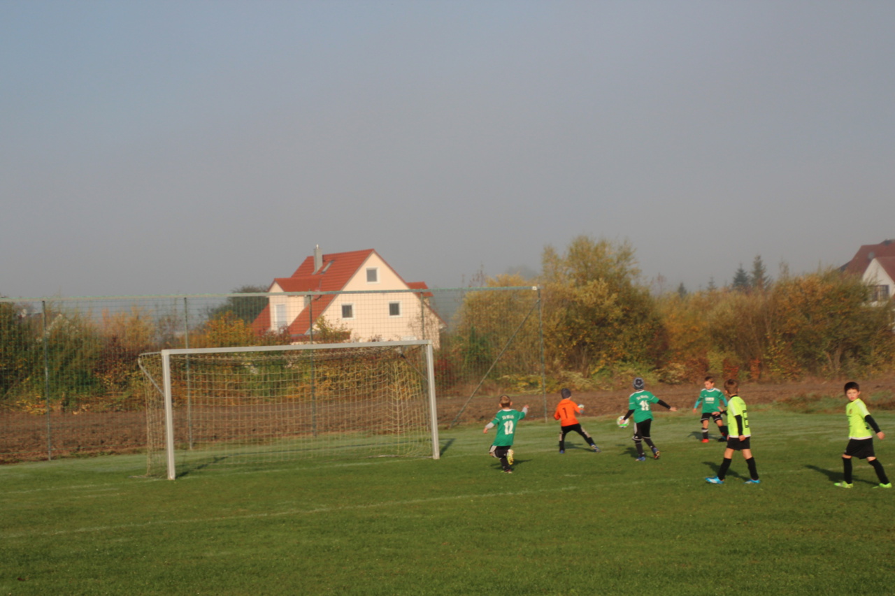 082210_8f57db69d7744ca0873d98a24d2223c9~mv2_d_5184_3456_s_4_2.jpg