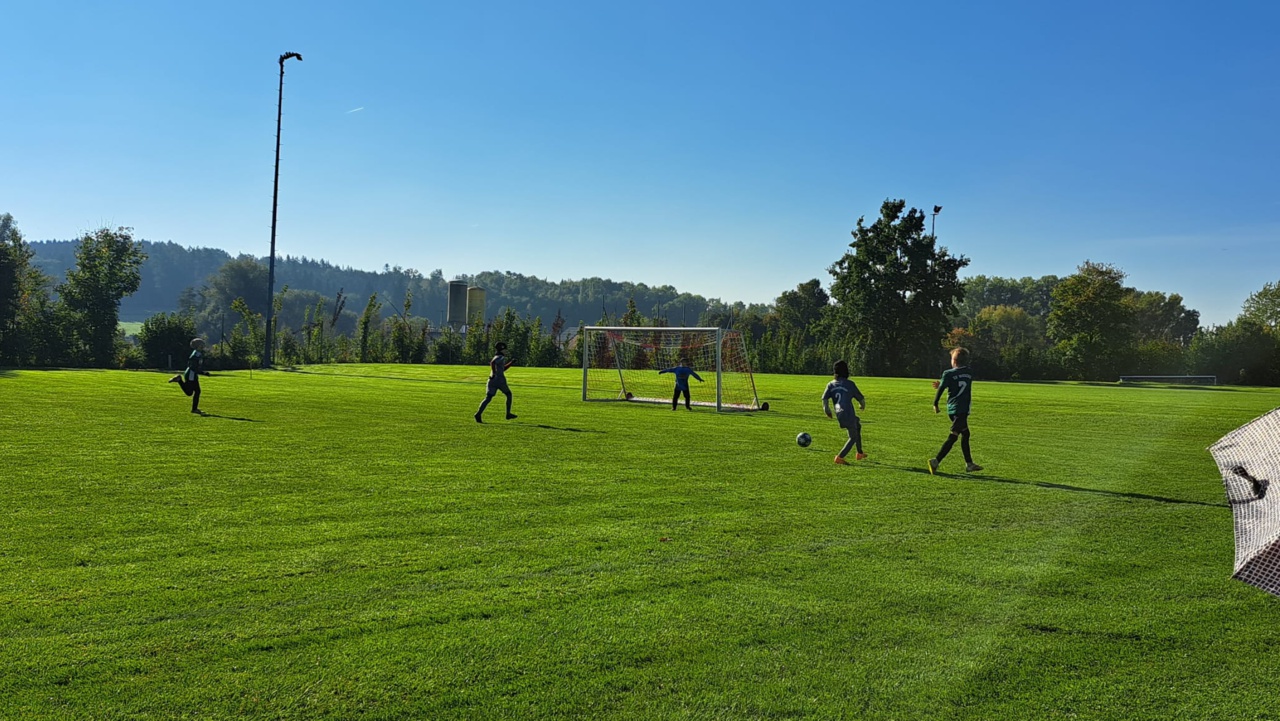 WhatsApp Image 2025-10-04 at 15.41.30 (4)