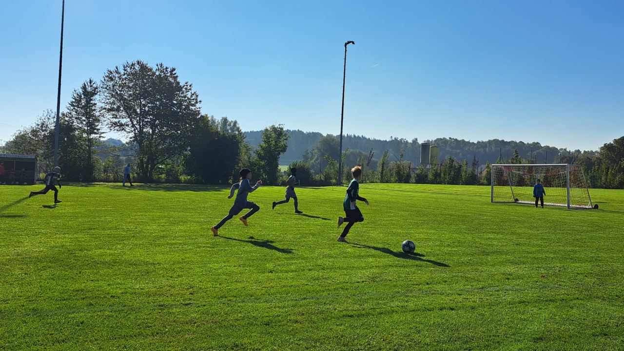 WhatsApp Image 2025-10-04 at 15.41.31 (2)