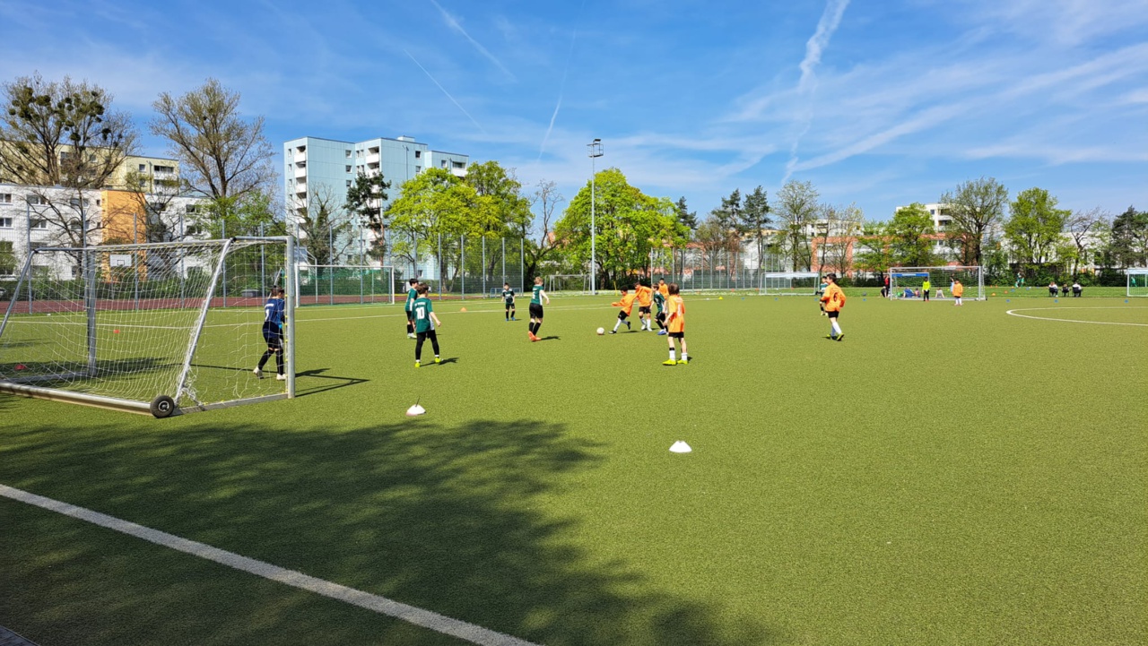 WhatsApp Image 2026-04-20 at 15.33.53