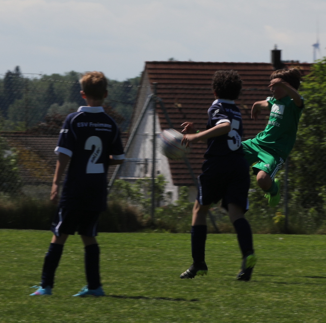 082210_82bdeecc6a5c4402b88606a928a754a1~mv2.jpg