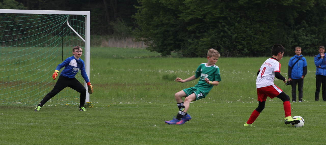 082210_0cf93803ed3544adbb0994eb3710668c~mv2.jpg