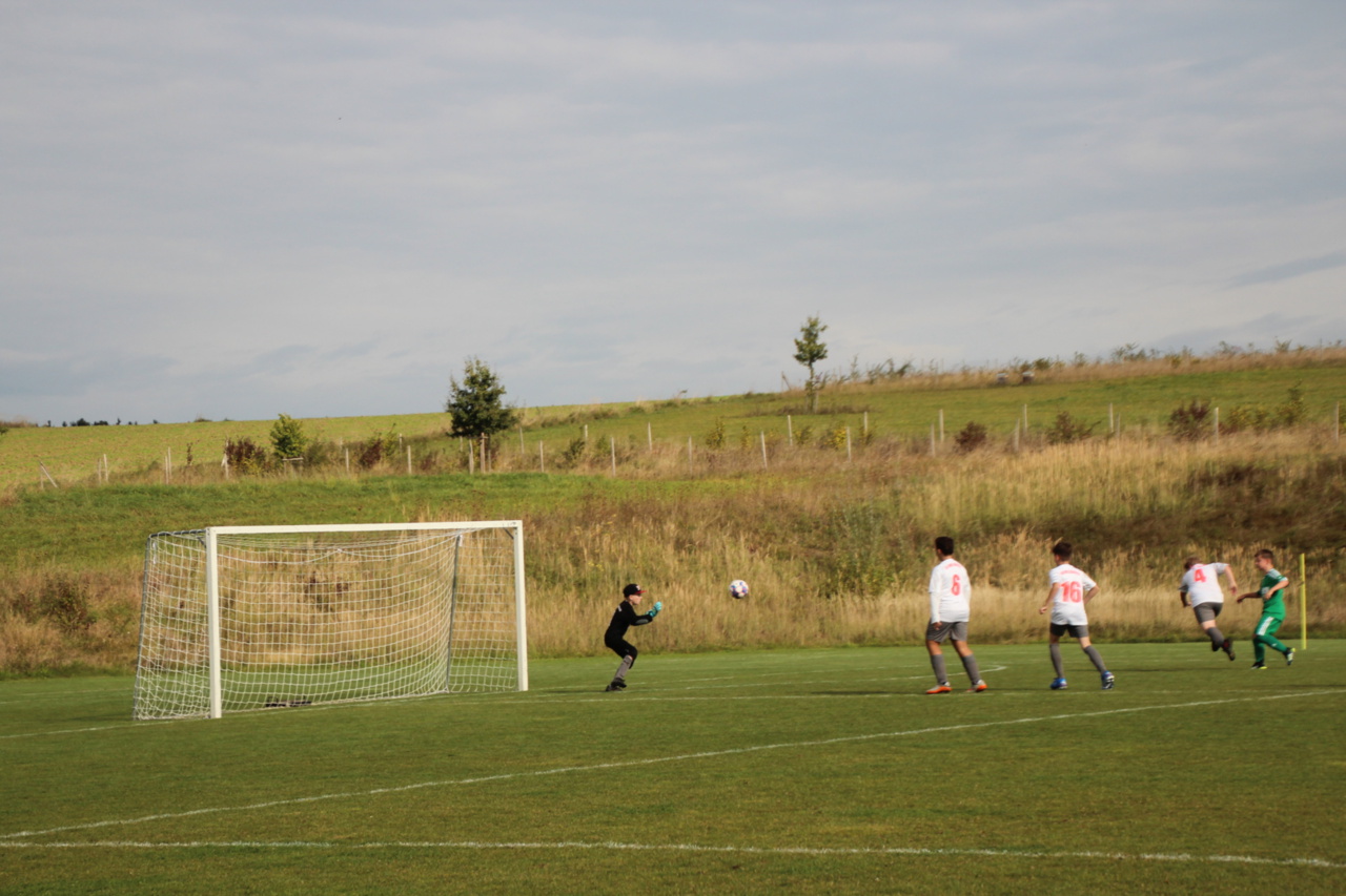 082210_fd57262a7bdf4e34880219e9785fad48~mv2.jpg