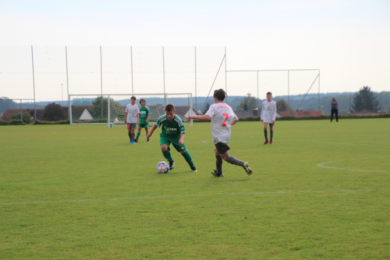 082210_80eab941cb35460bbe5a8b94f2f721d2~mv2.jpg