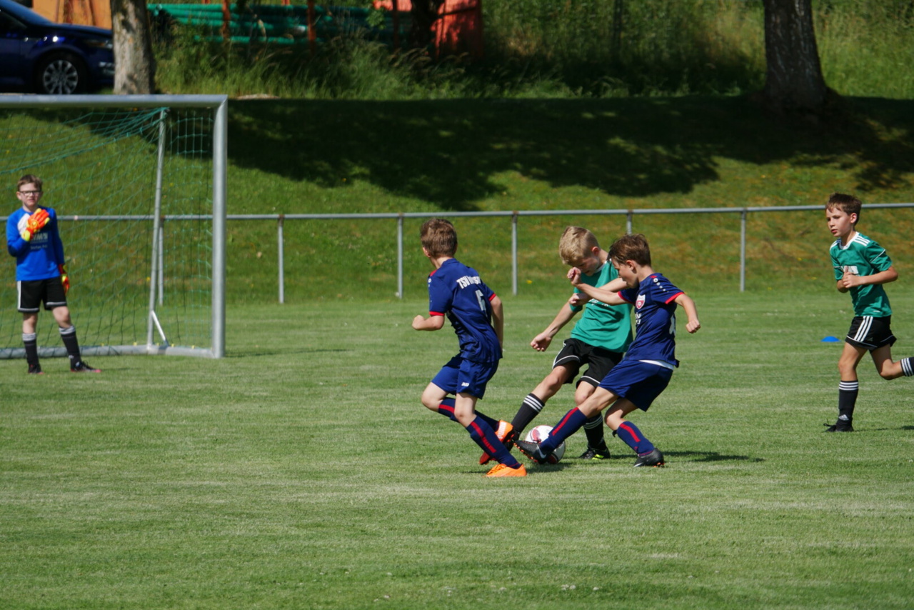 164b4b_0781c82e01224bf6b1ad5ab1b4dae526~mv2.jpg