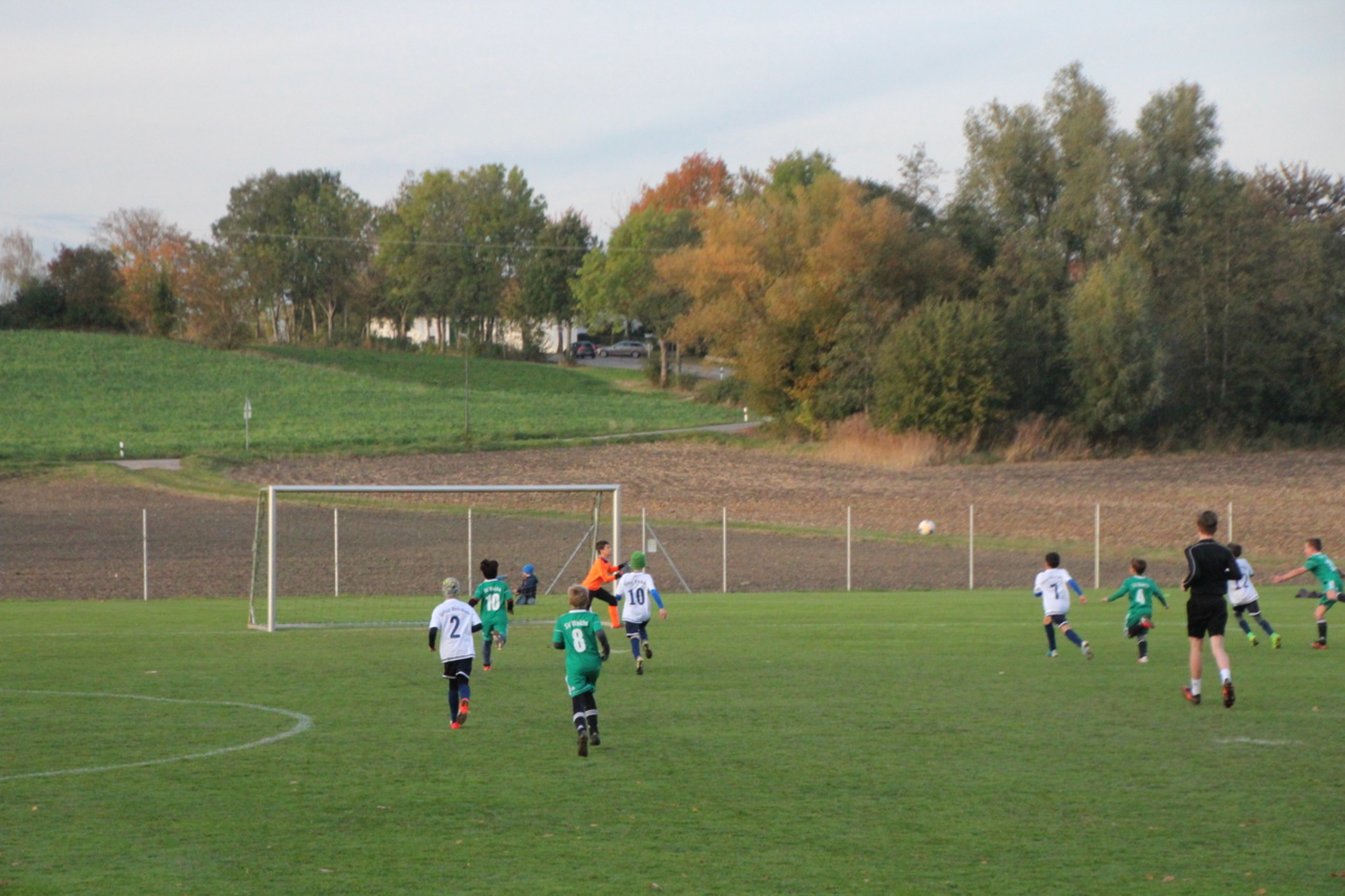 082210_07efaf6b2fd8424bad49ac2859e98462~mv2.jpg