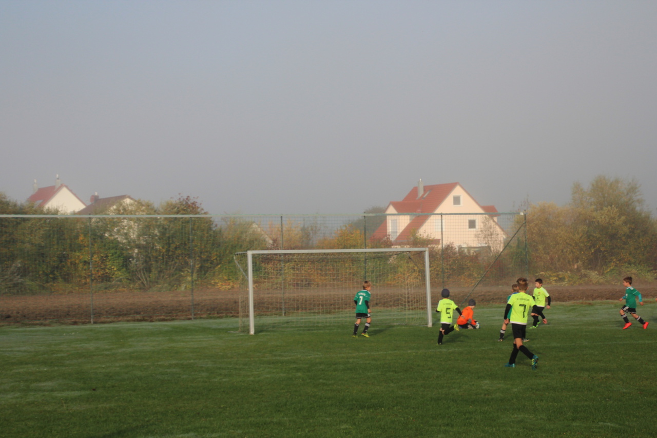 082210_469e03da0fce471fa507a5c43a44f5dd~mv2_d_5184_3456_s_4_2.jpg