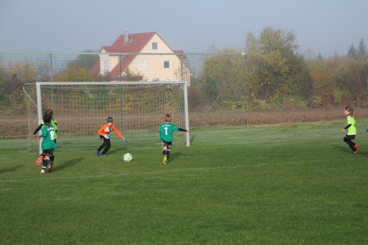 082210_7f52ff5e73a7422698b35679b7c1c443~mv2_d_5184_3456_s_4_2.jpg
