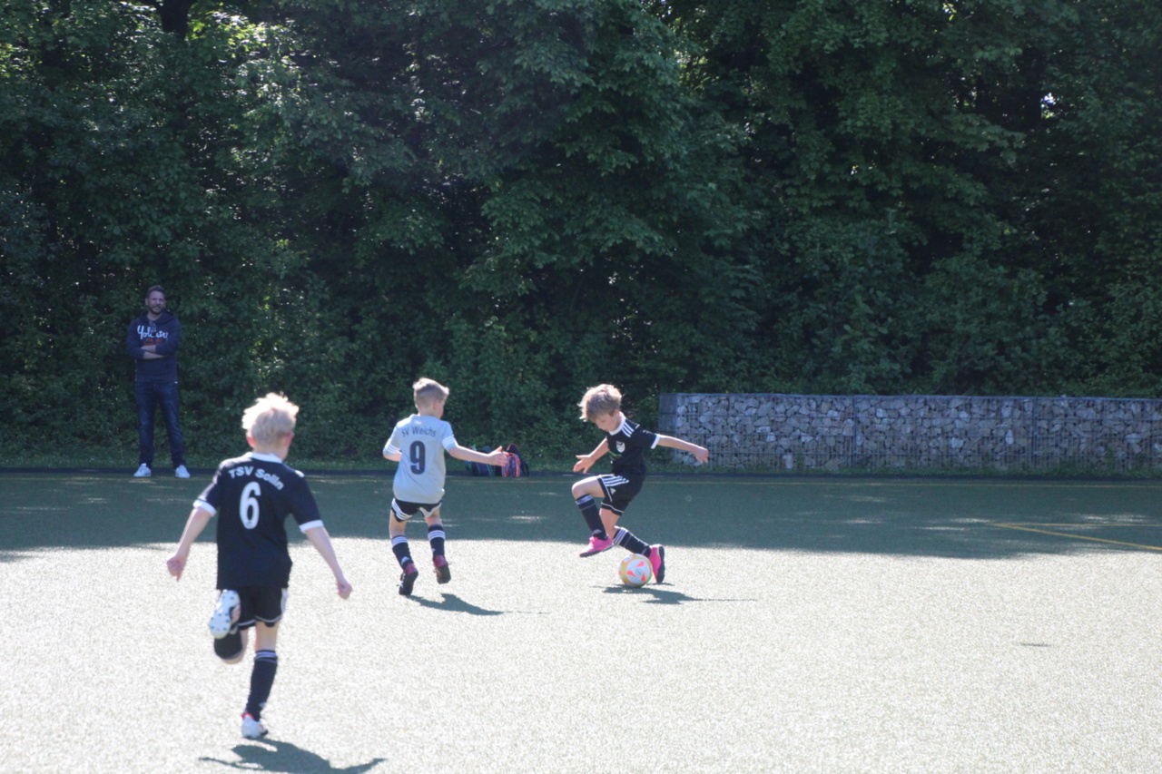 082210_660d0788696944d89b56bc29dad7b48e~mv2_d_5184_3456_s_4_2.jpg