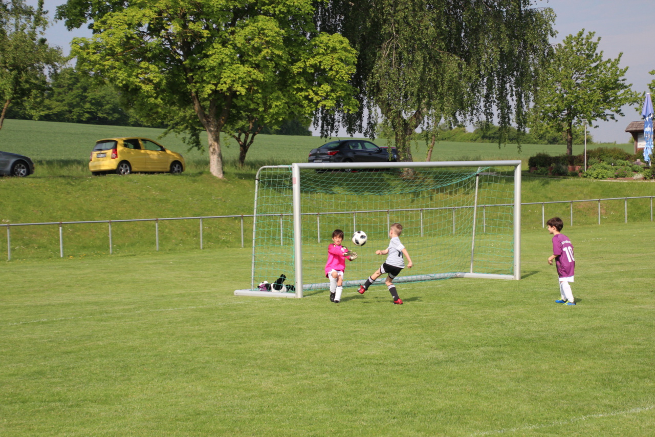 082210_b647a0ebbf354dbbb77dfeacb4a948df~mv2_d_5184_3456_s_4_2.jpg