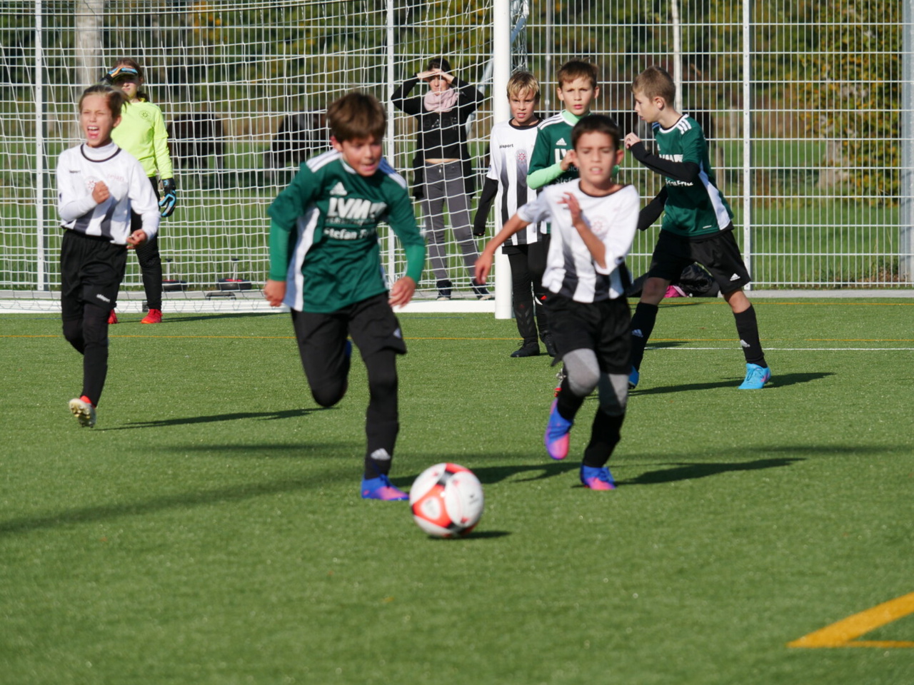 164b4b_5661730f31bd4549bede77dacaff84b8~mv2.jpg