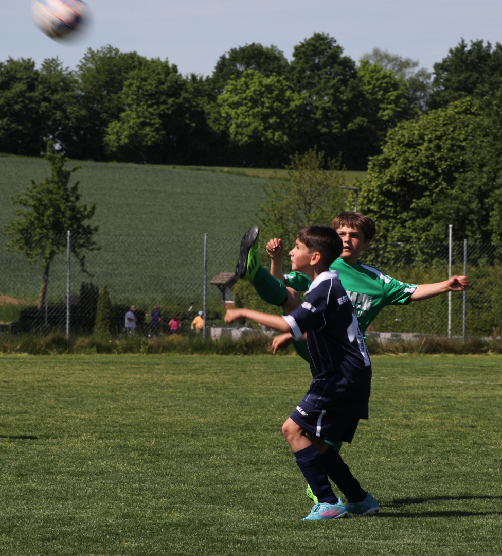 082210_88efa581ffc14f3eb94d1815f42dbe5e~mv2.jpg