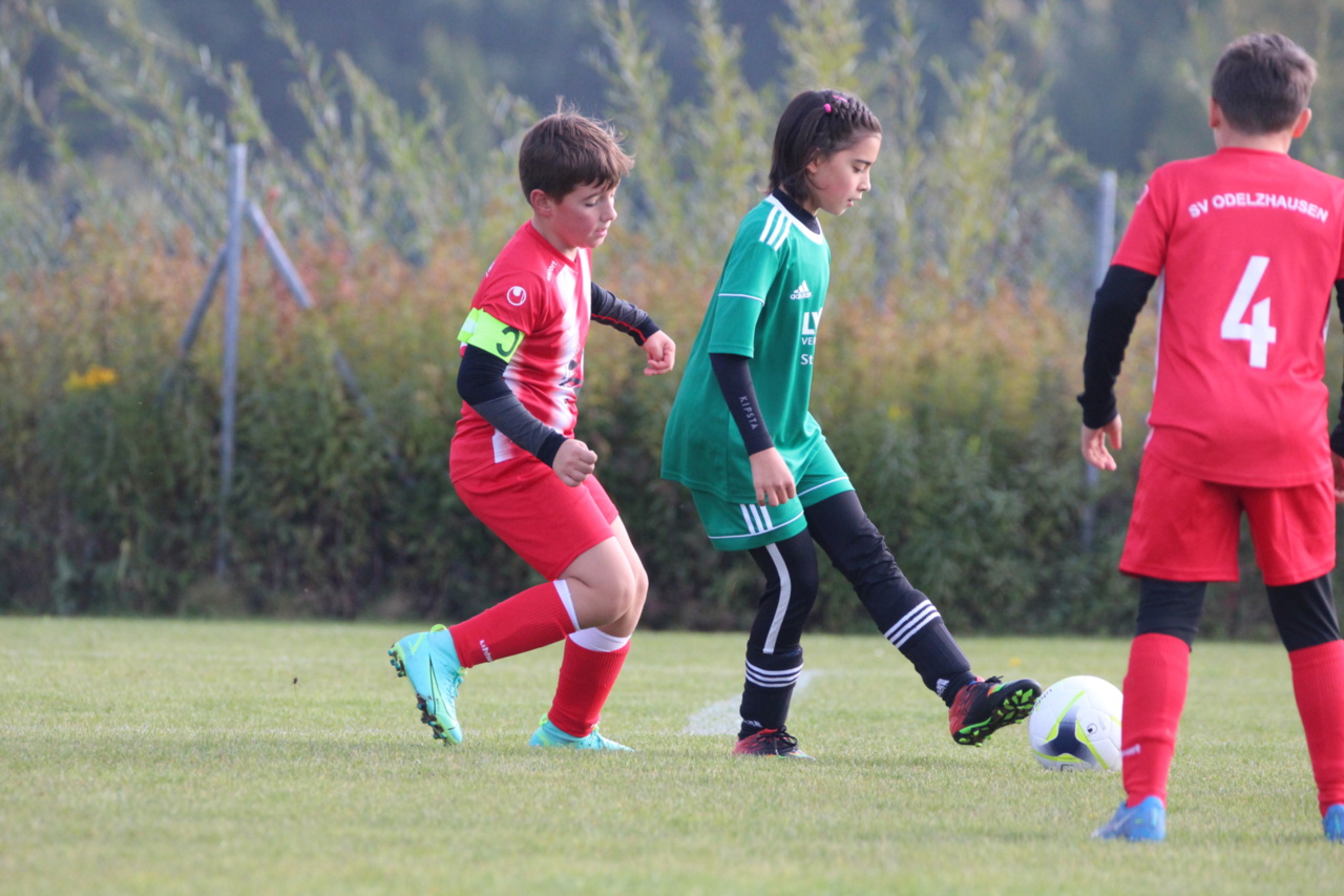 082210_02fc6aabd6994ccf9ae2d6e2e168919c~mv2.jpg