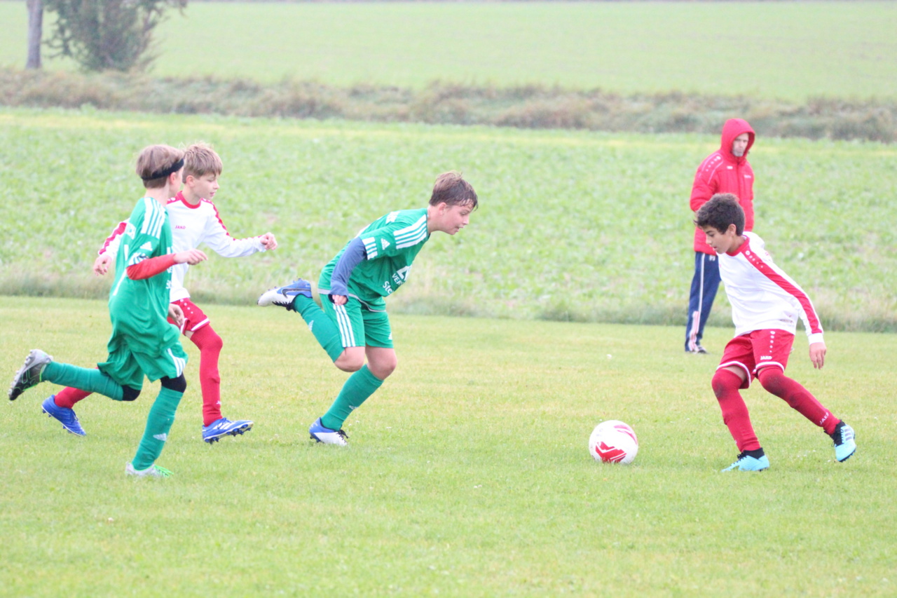 082210_9efc49ee3d674c83a10457b35dd3b5cb~mv2.jpg