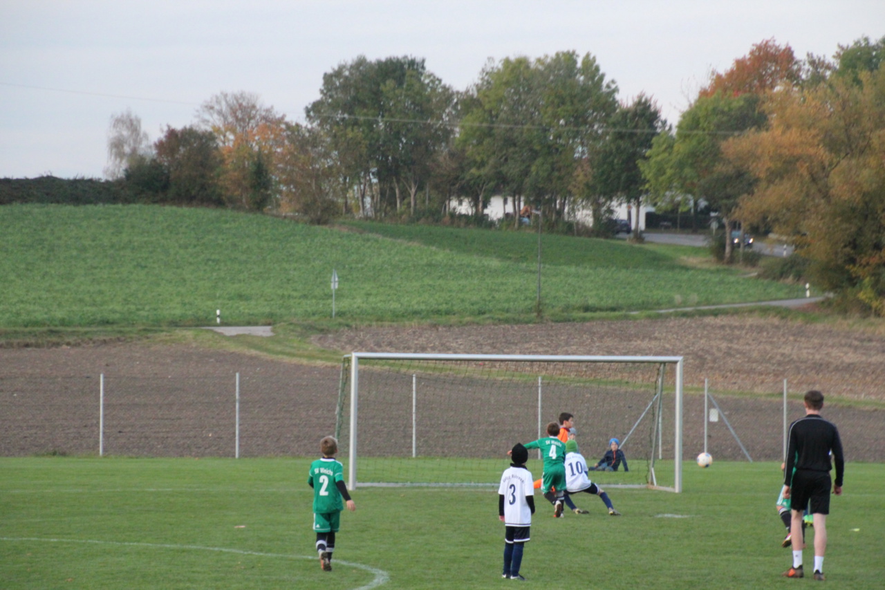 082210_d7fe9f0ca4ca400ba01e7a64e2b533f6~mv2.jpg