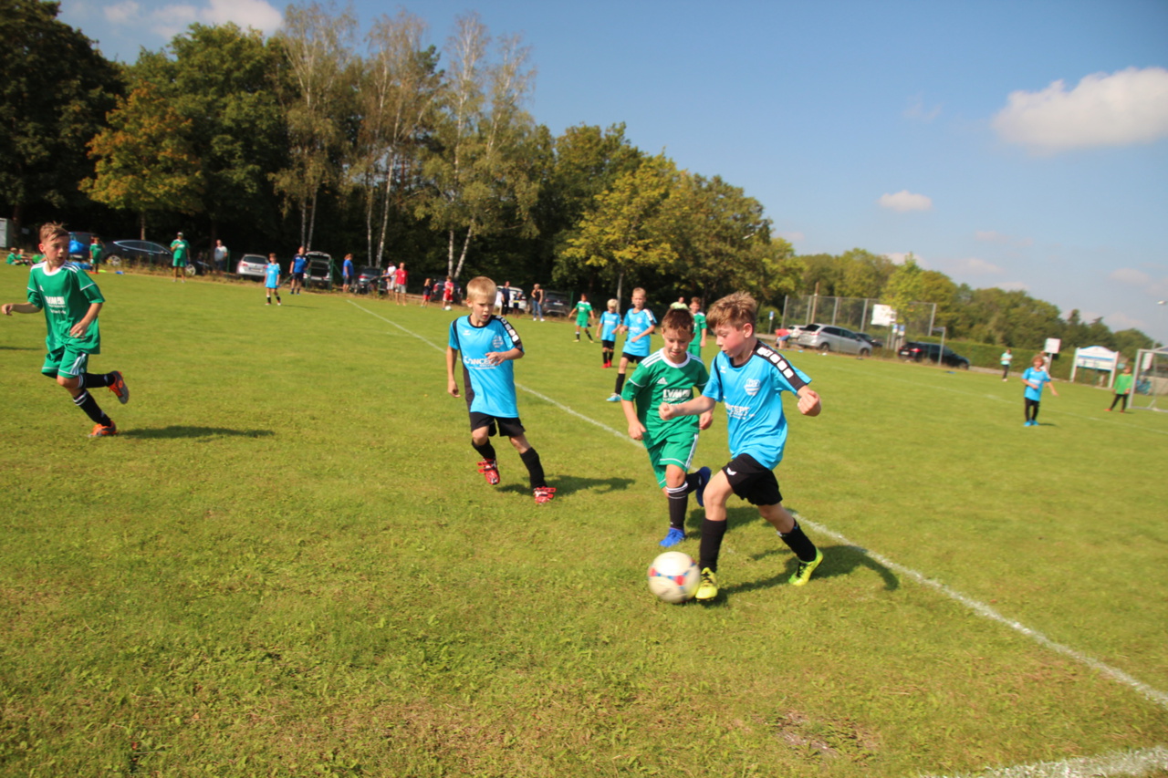082210_74c6a885efdf4f8a88b91056a874d8e5~mv2.jpg