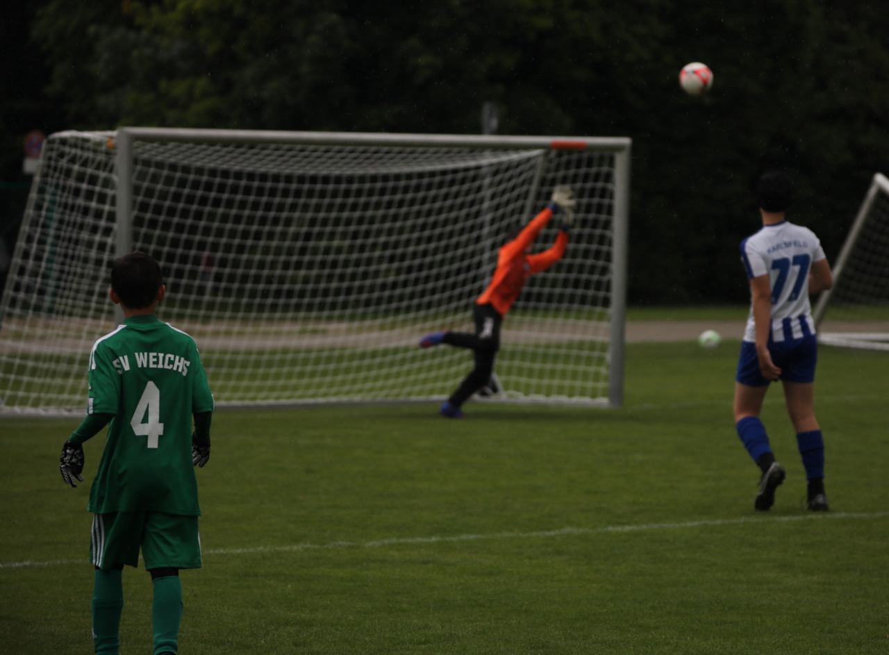 082210_0edf02371e9742b6bf18af363b343f51~mv2.jpg