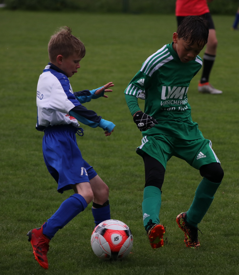 082210_6f7cd03d7eae40f694ef1b23f16d6481~mv2.jpg