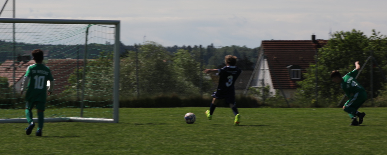 082210_0586eb6bf2a34674887064b0d80a5e38~mv2.jpg