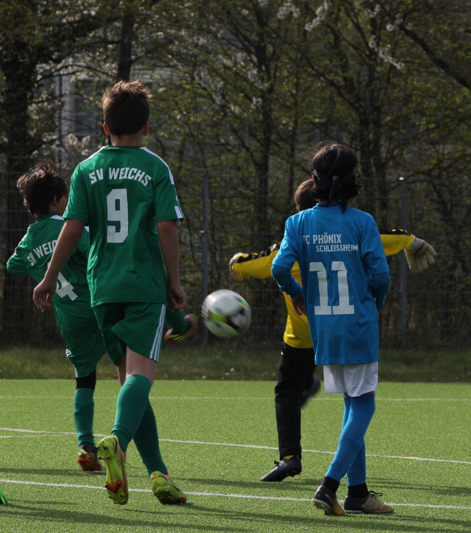 082210_886b5b58c8b84a938ae266534dbaaf9c~mv2.jpg