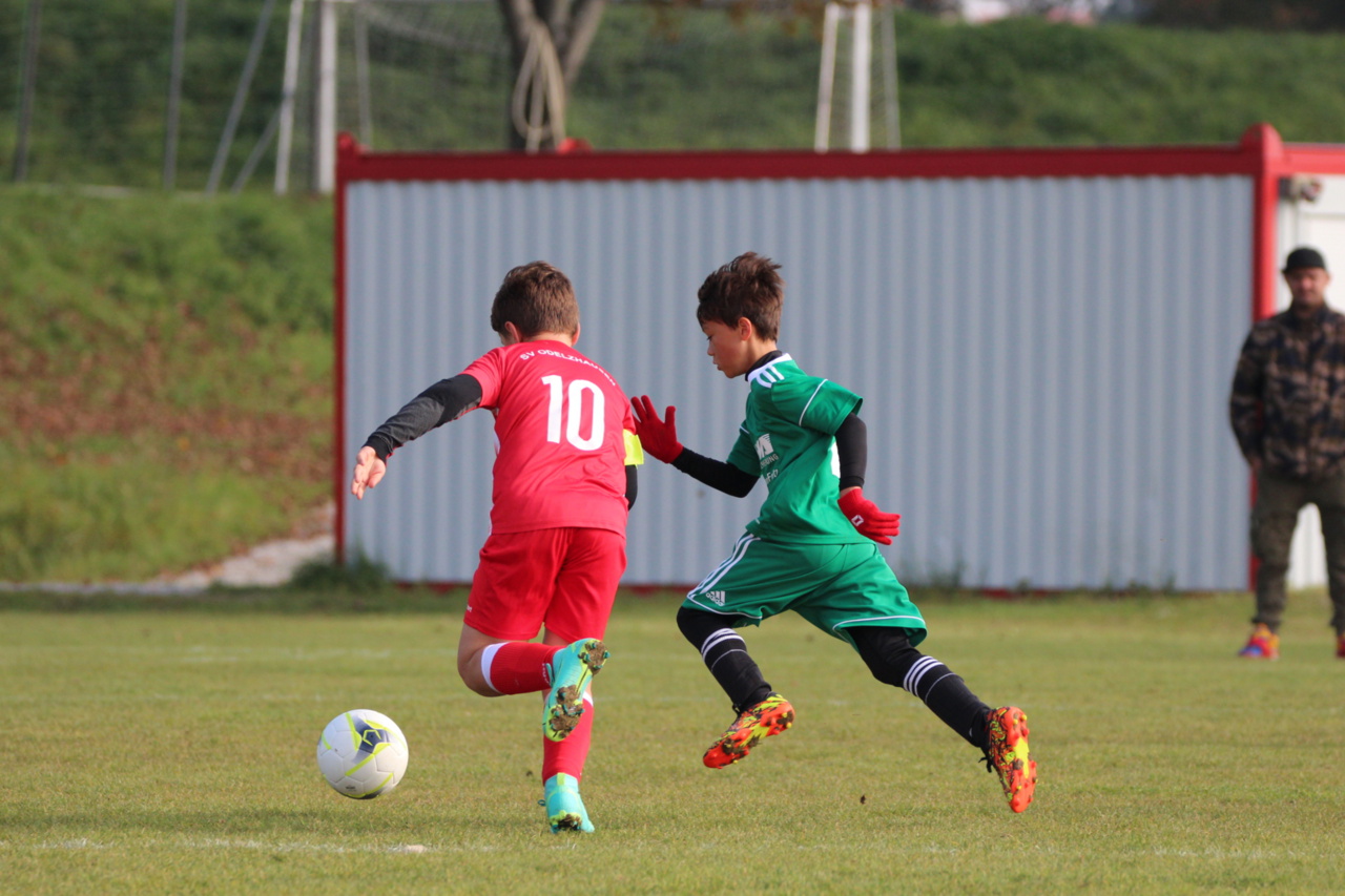 082210_fc8a3f77374a4e6a8d7161441b584b8d~mv2.jpg