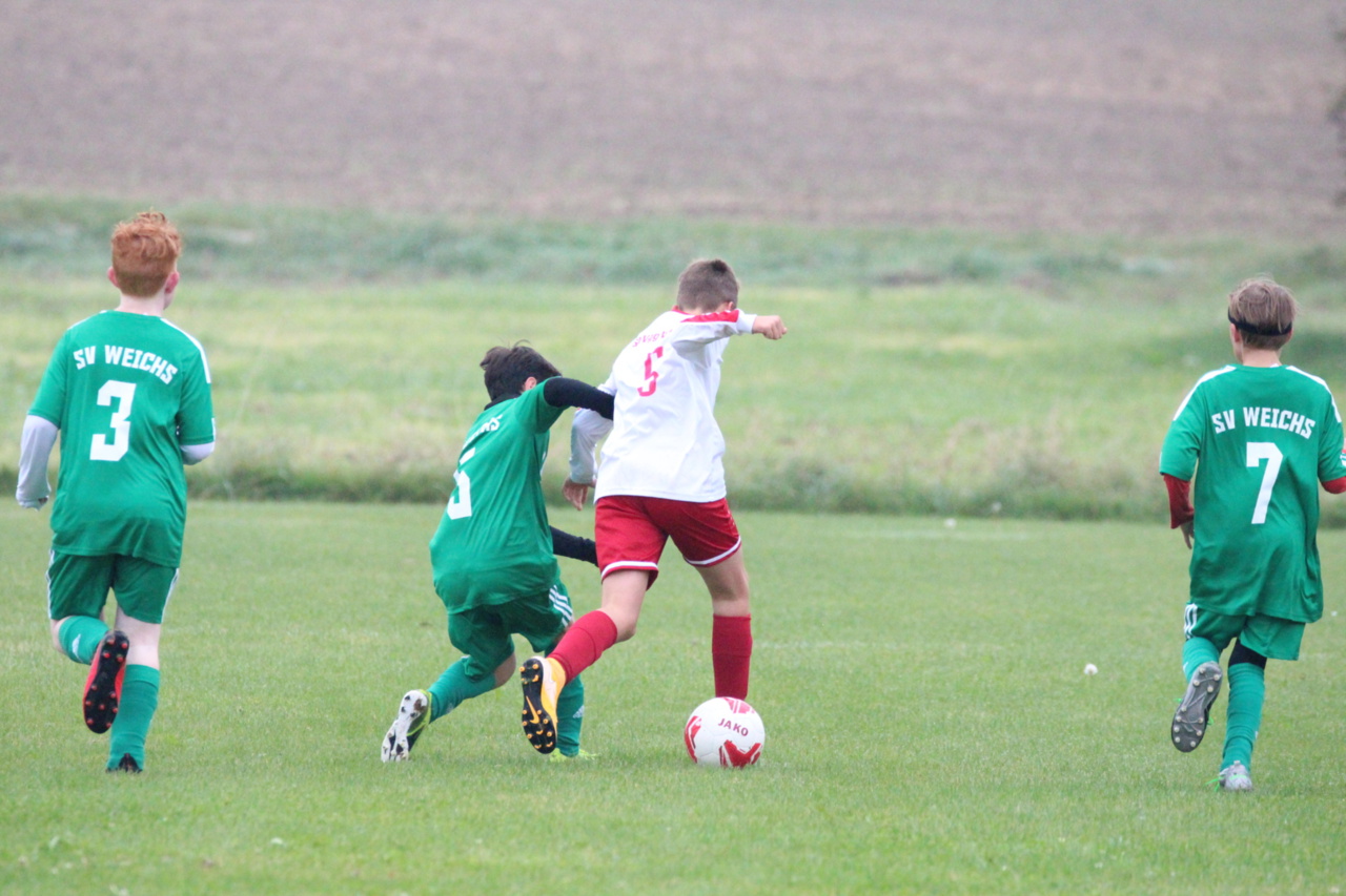082210_d371861f216548cc9ef5a6118297904f~mv2.jpg