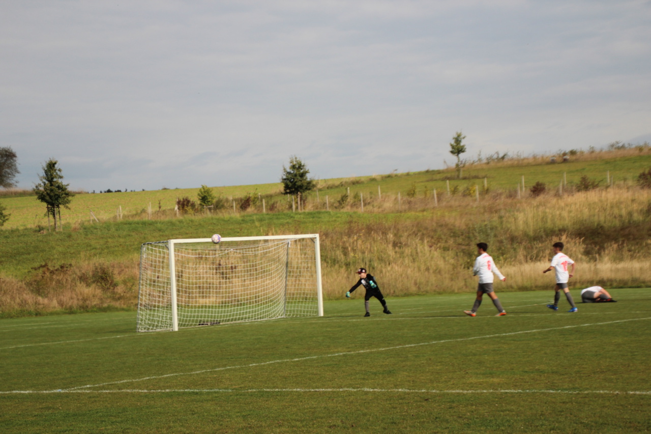 082210_b68ca5137735480e9d0b8de271ead3e1~mv2.jpg