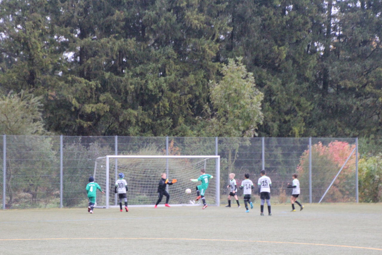 082210_518ab2820ae24befa304e957711f86b4~mv2.jpg
