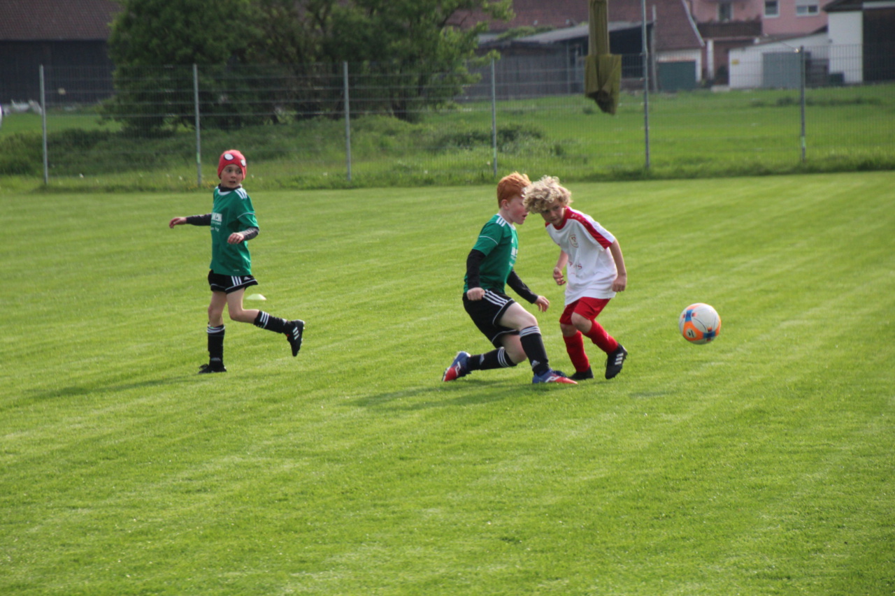 082210_bcafb0b2493b46ffaab4a88972e29ac4~mv2_d_5184_3456_s_4_2.jpg