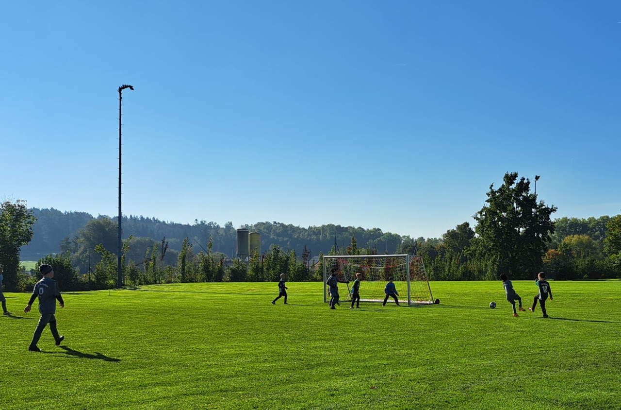 WhatsApp Image 2025-10-04 at 15.41.30 (6)