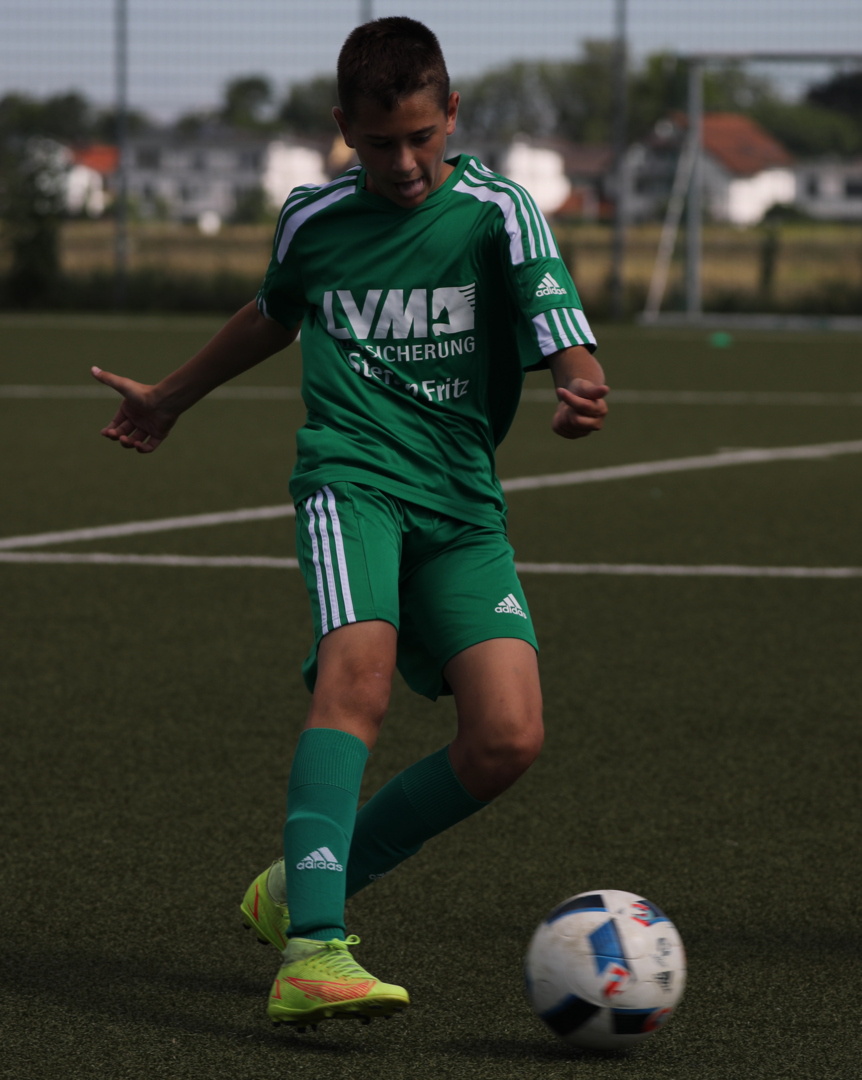 082210_e8339ee30d8a4b0e9b502675a5512a22~mv2.jpg