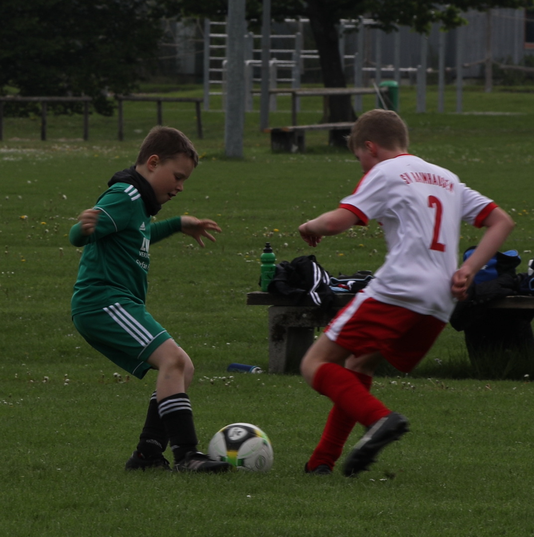 082210_d287700f55284e308c244ddf209ca6aa~mv2.jpg