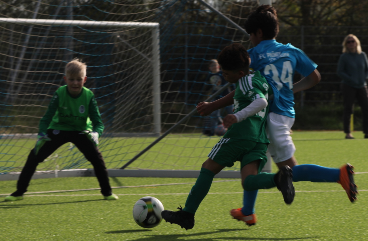 082210_29b7e13ac52e436394a2aabf42c885f7~mv2.jpg