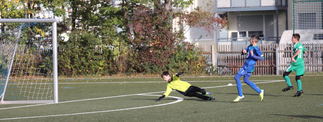 082210_dcef80a091a74b9fb1831f252a19f43f~mv2.jpg