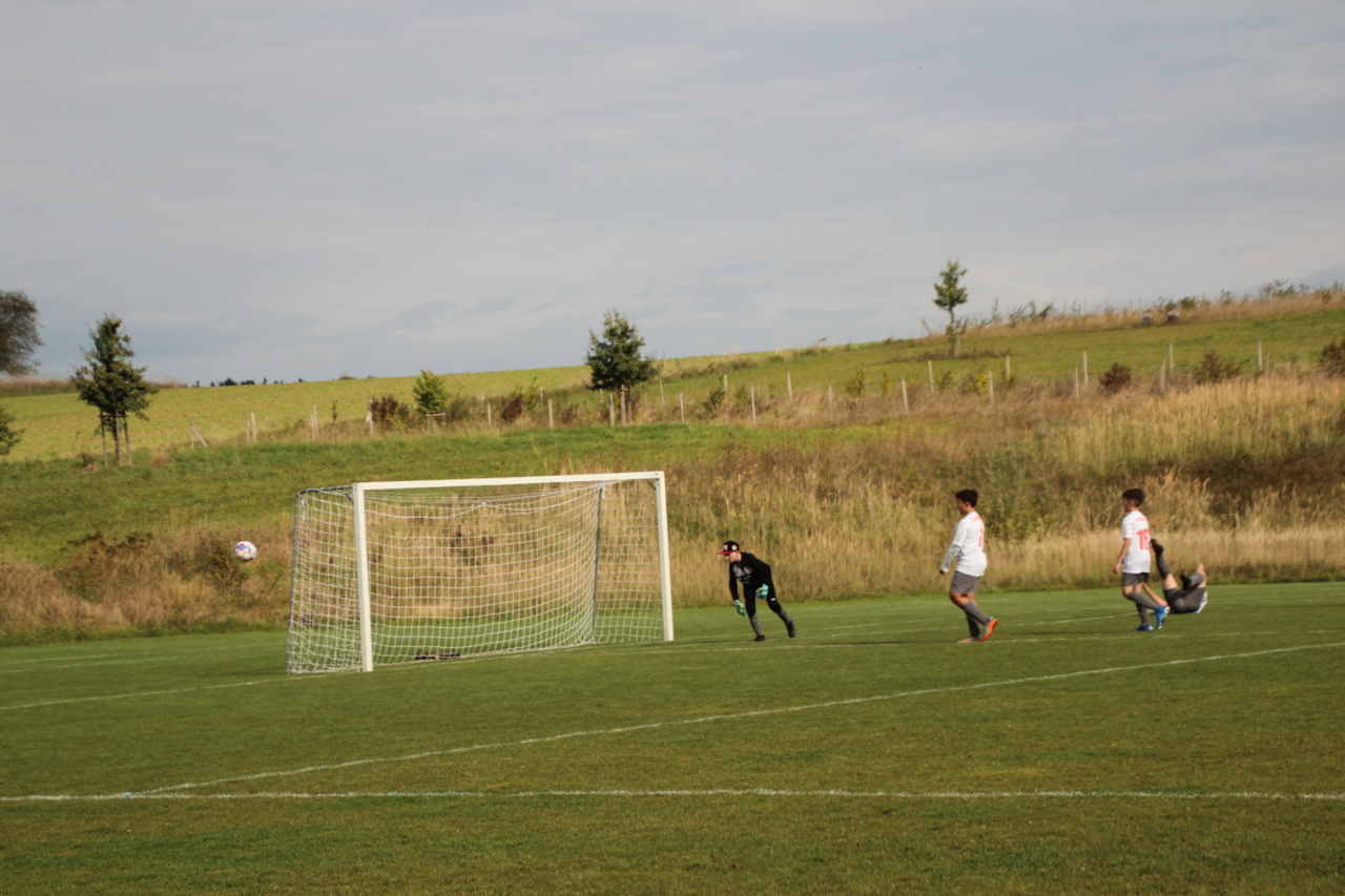 082210_019f5ab9d0704cf3ac18279416653467~mv2.jpg