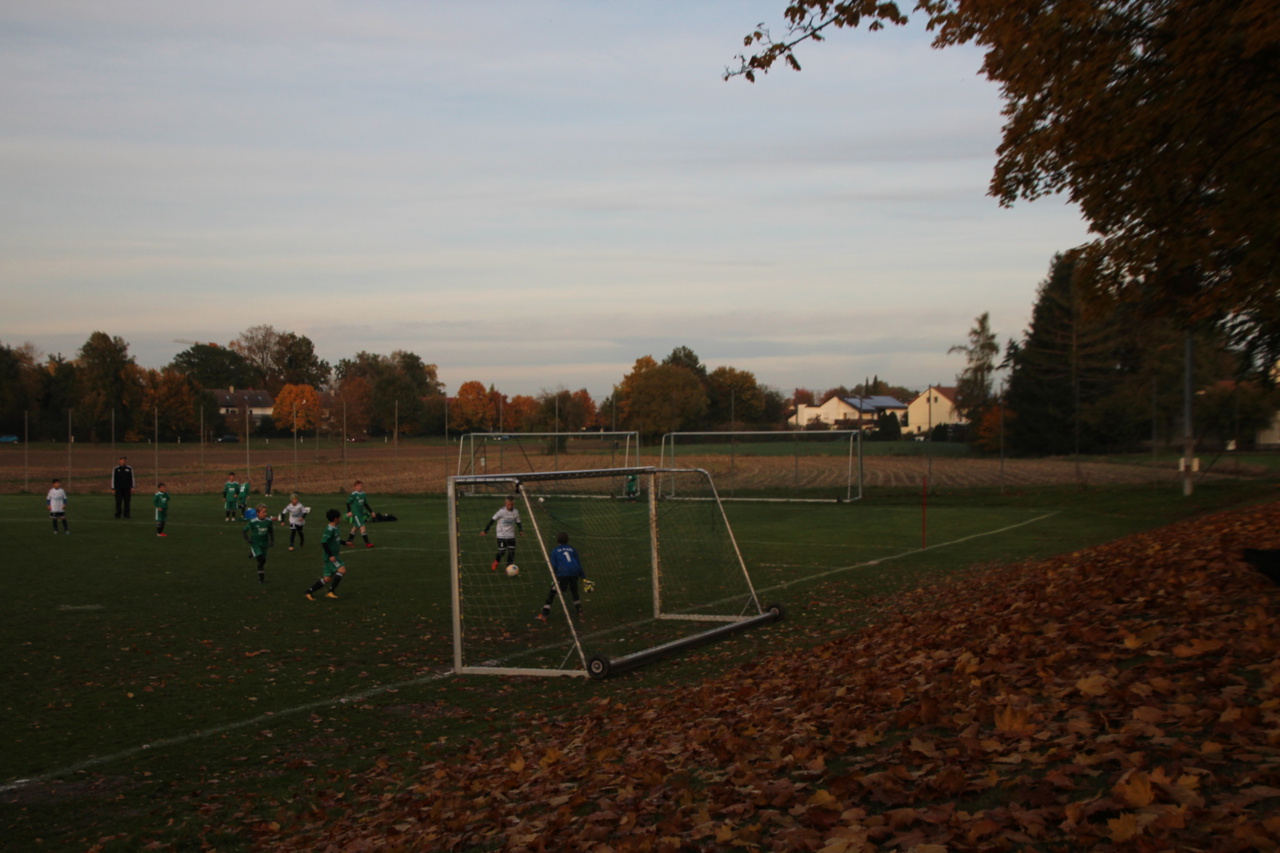 082210_d8f76e6b3da94f58949591d428b24475~mv2.jpg