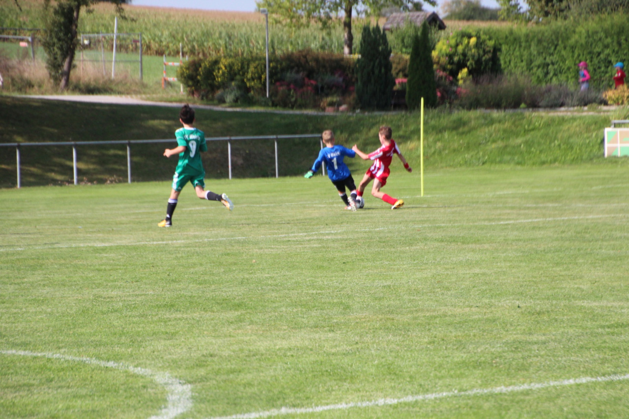 082210_40692e4101ec4d4bb579b4dbfaa01361~mv2.jpg