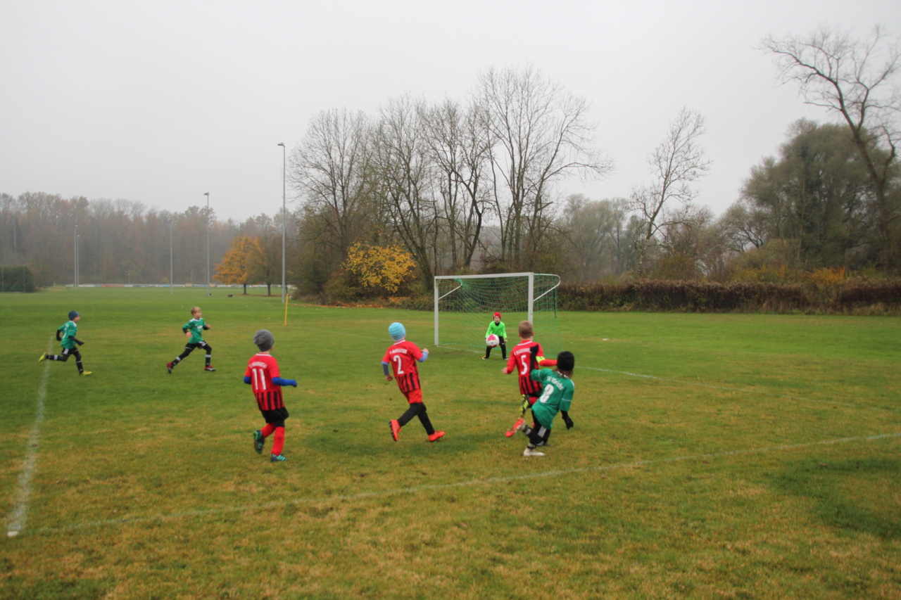 082210_4cb10c85295a4a65815f86f0549ddc34~mv2_d_5184_3456_s_4_2.jpg