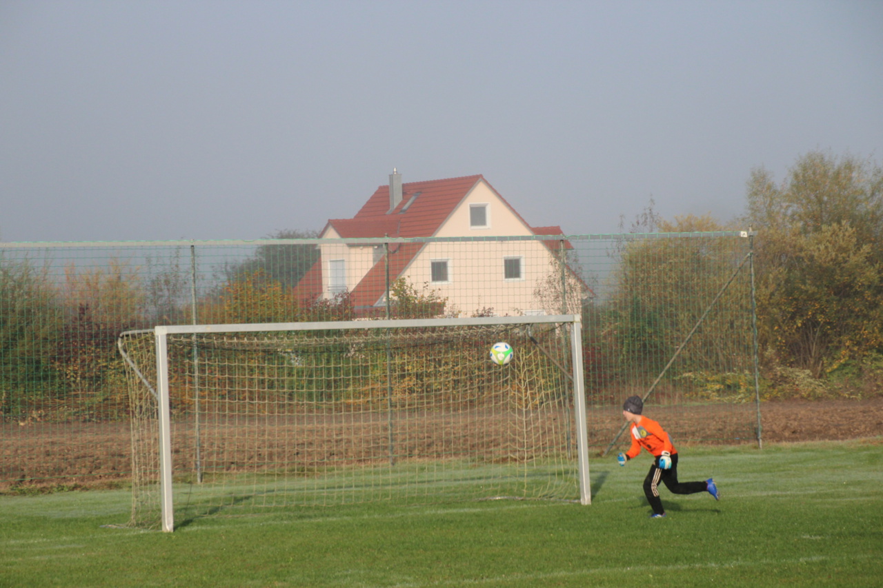 082210_9a78c8caceb849cfadab725c6e39d0d0~mv2_d_5184_3456_s_4_2.jpg